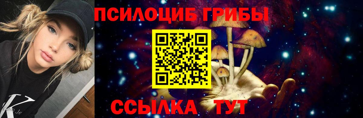 Псилоцибиновые грибы ЛСД  Вход с VPN  Солнечногорск  Псилоцибиновые грибы Psilocybe 